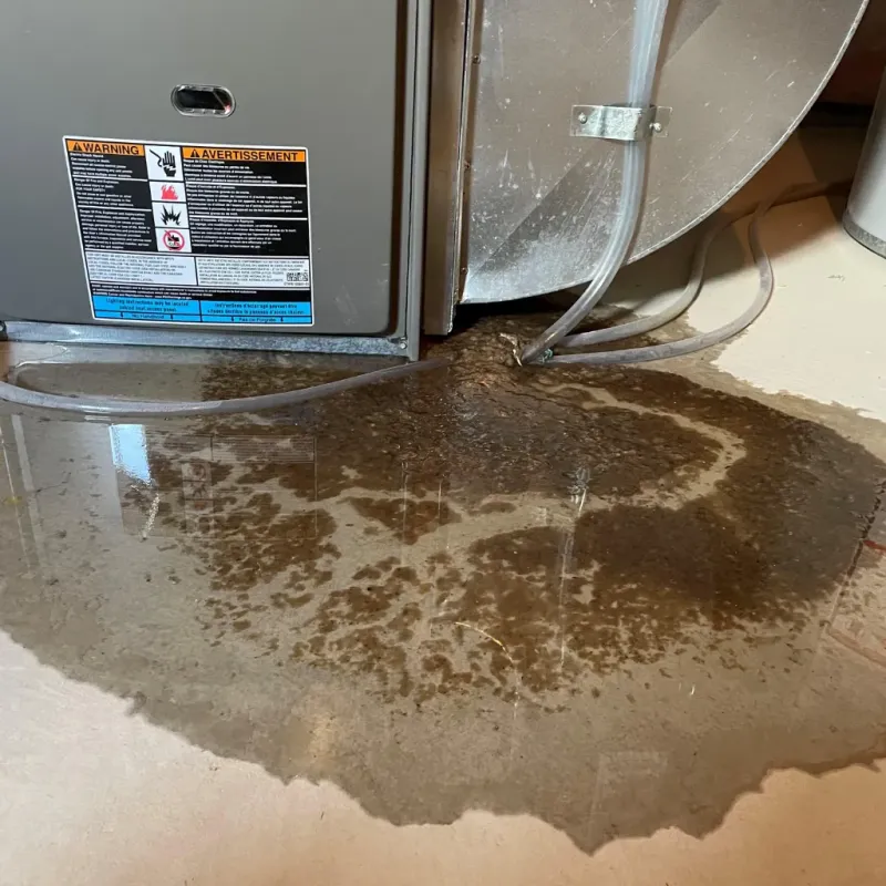 Appliance Leak Cleanup in Hiland Park, FL